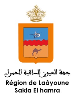 File:Logo-conseil-laayoune.jpg