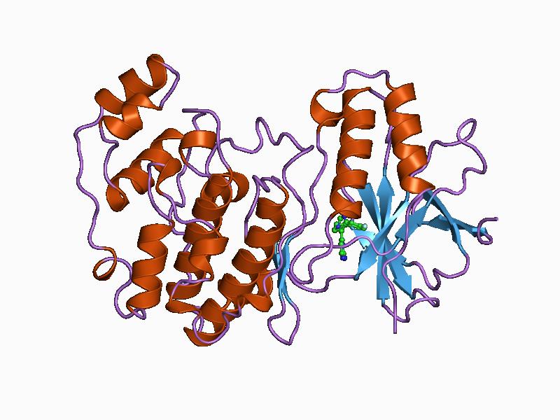 File:PDB 1bmk EBI.jpg