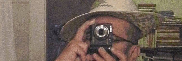 File:Self-portrait, -w.- 200906~.gif