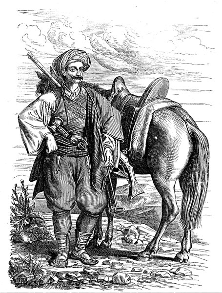 File:Harambaša from Dalmatia.jpg