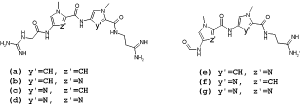 Two groups of lexitropsins