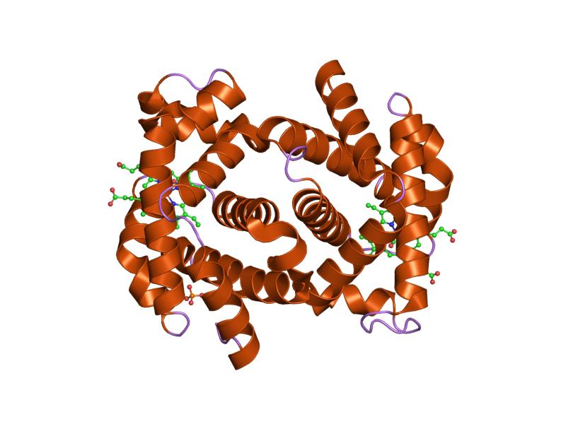 File:PDB 1ljw EBI.jpg