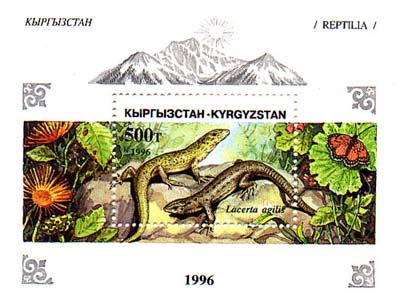 Файл:Stamp of Kyrgyzstan 114.jpg