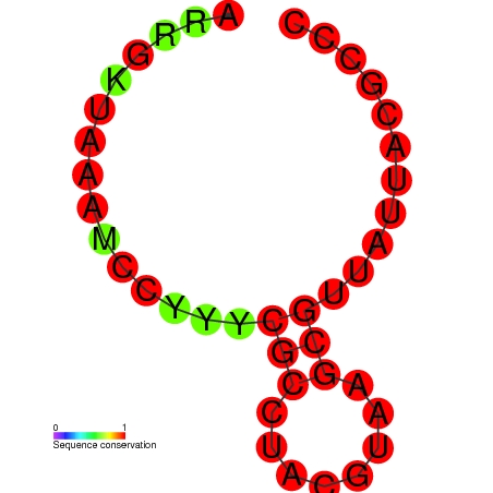 File:TLS-PK6 secondary structure.jpg