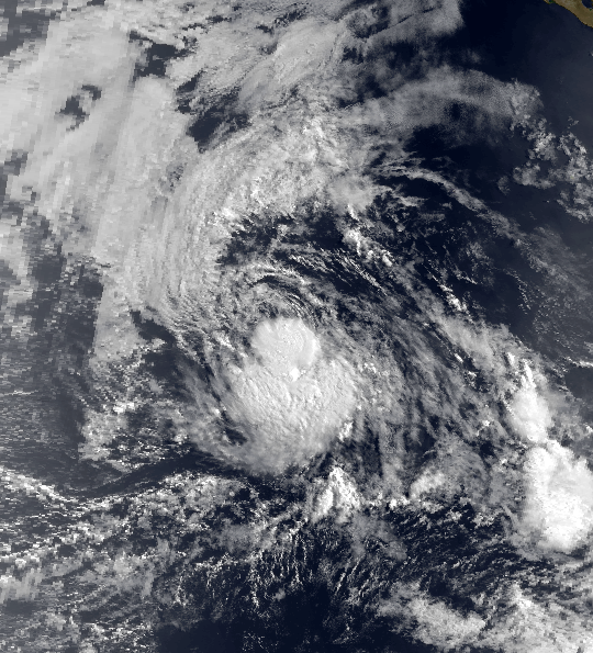 File:Tropical Storm Darby 1980.png