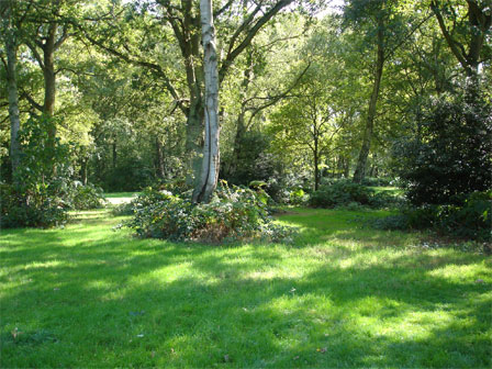 File:Chorleywood Common1.jpg