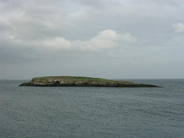 File:Ynys Moelfre - geograph.org.uk - 8360.jpg