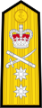 Shoulder board prior to 2001