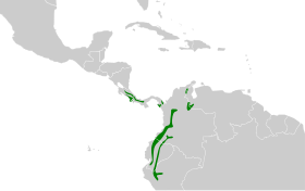 Distribución geográfica del picoguadaña andino.