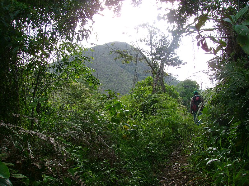 Archivo:Cerro el cancharazo.JPG