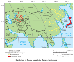 Distribution of Channa argus. Source: USGS 2004