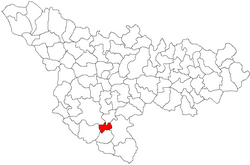 Location in Timiș County