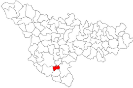 Location in Timiș County