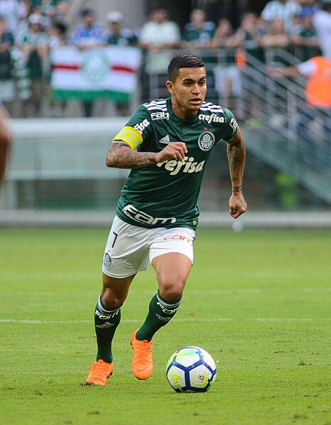 Archivo:DuduPalmeiras2018.jpg