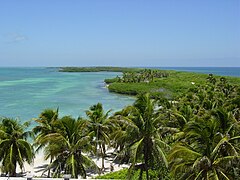 Isla Contoy.