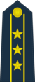 Colonel