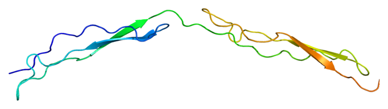 File:Protein THBS1 PDB 1lsl.png