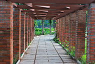 Walkway at the park