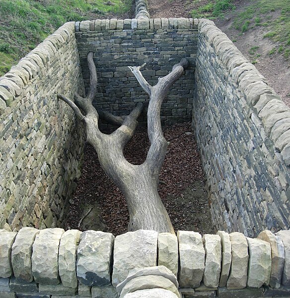 File:YSP goldsworthy 07-3.JPG