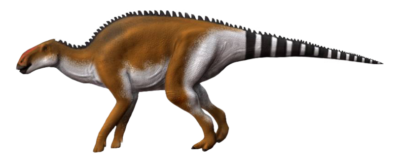 File:Brachylophosaurus NT.png