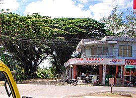 Carmen, Bohol