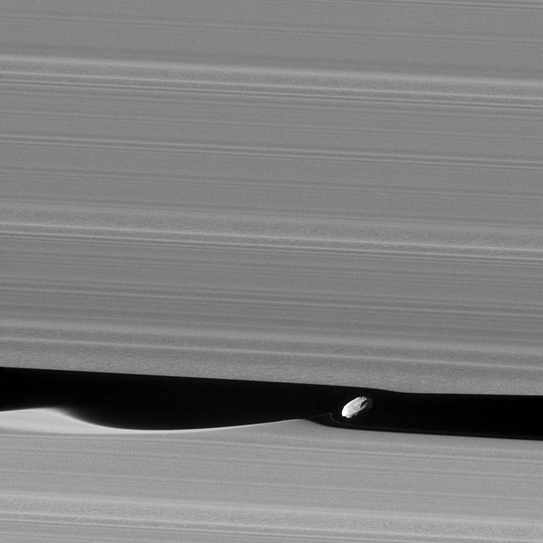 File:Daphnis raw 2010 cropped.jpg