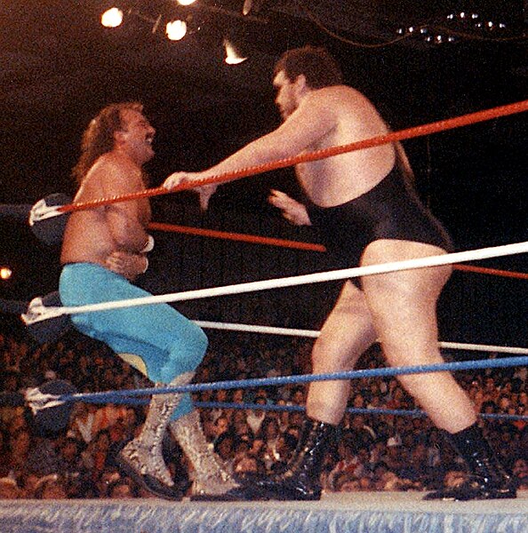 Archivo:Jake Roberts and Andre.jpg