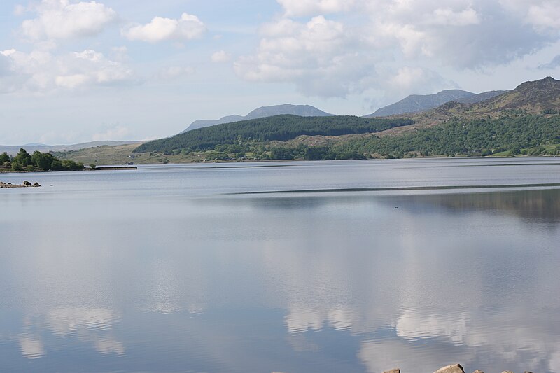 Файл:Llyn Trawsfynydd.JPG