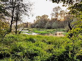 Backwater in Bernate Ticino.