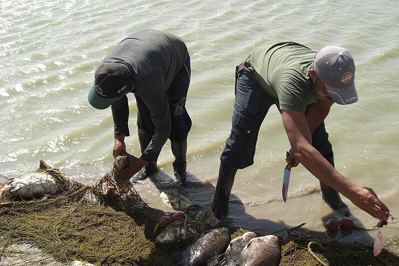 Archivo:Pescadores de Apure.JPG