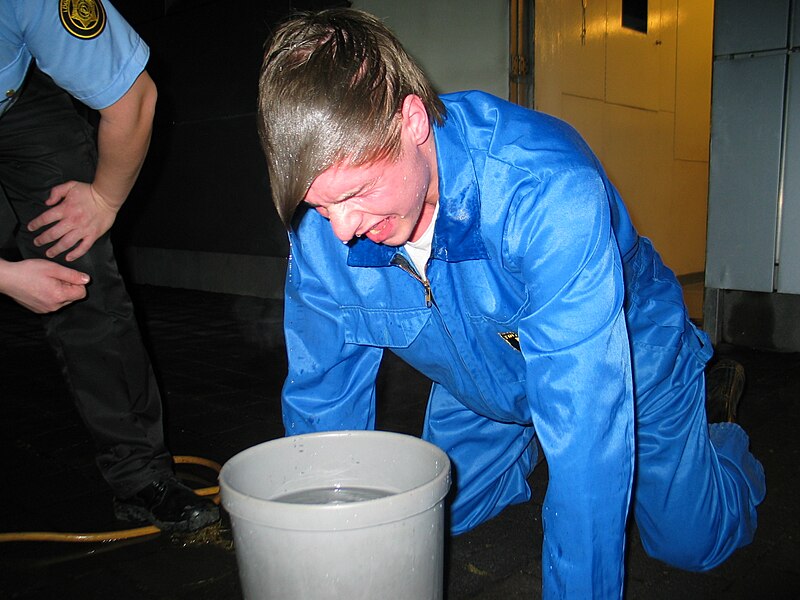 File:Police Officer-Mace training.jpg