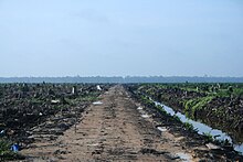 A view of deforested land