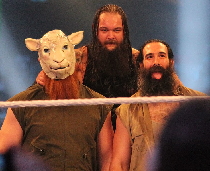 Файл:The Wyatt Family.jpg