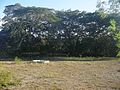 Vista de la hacienda de Xucú.