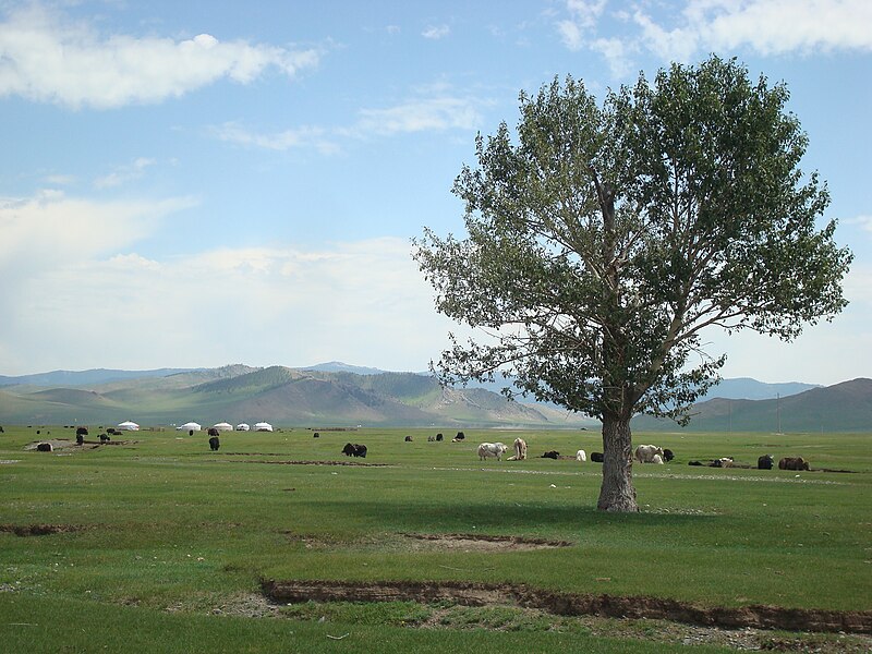 File:Arkhangai Aimag6.JPG