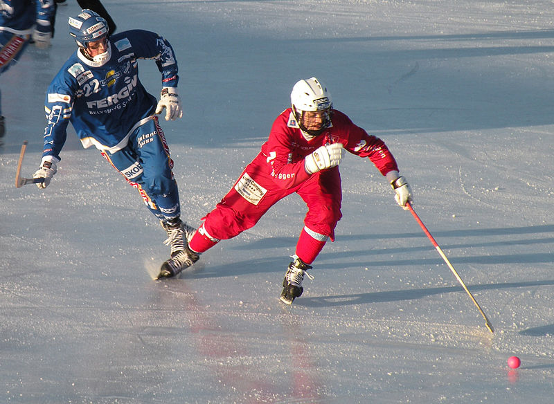 File:Bandy players.jpg