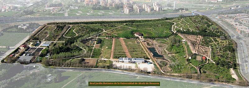 Archivo:BotanicoAlcala.jpg