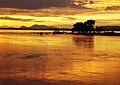 Mahanadi River