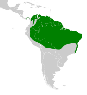 Distribución geográfica del trepatroncos piquirreto.