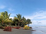 Miniatura para Ladrilleros (Valle del Cauca)