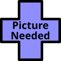 File:Picture Needed.svg