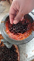 Salsa de chicatanas