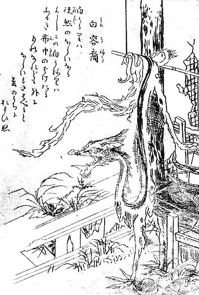 File:SekienShiro-uneri.jpg