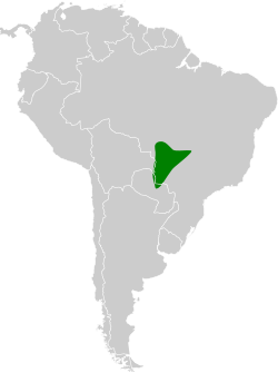 Distribución geográfica del pijuí ocráceo.