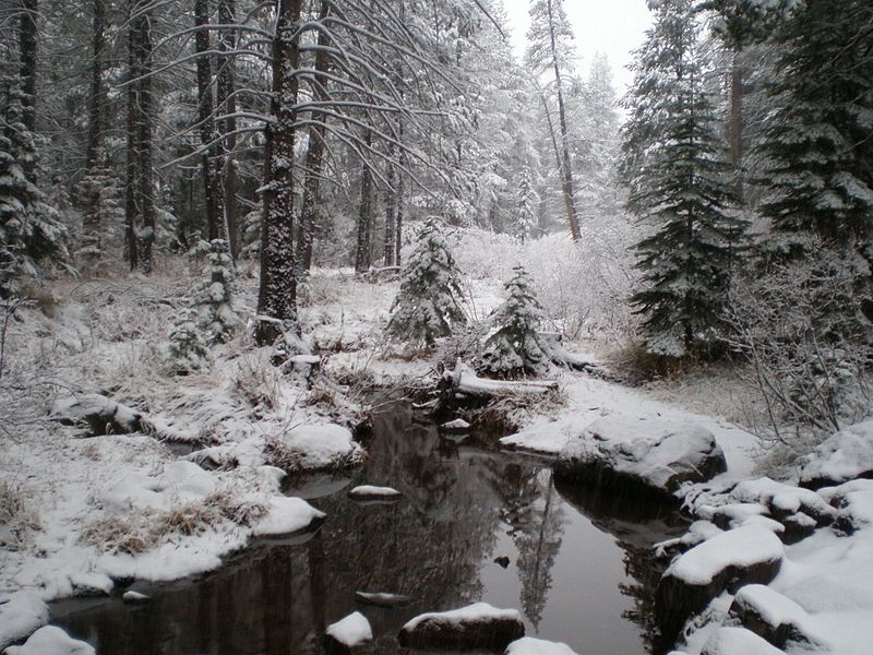 File:Trout Creek Truckee.jpg