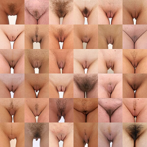 File:Vagina collage 07.jpg