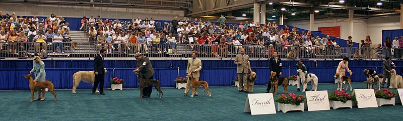 File:AKC hounds.jpg