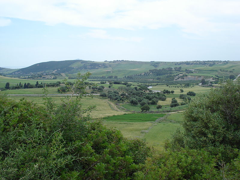 File:Jebel Aïn Chouna.jpg