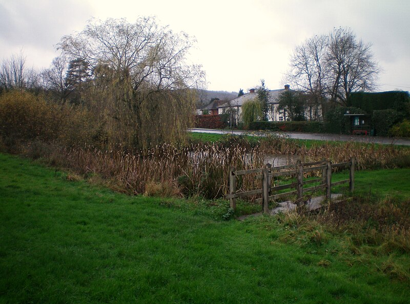 File:North Holmwood pond.JPG