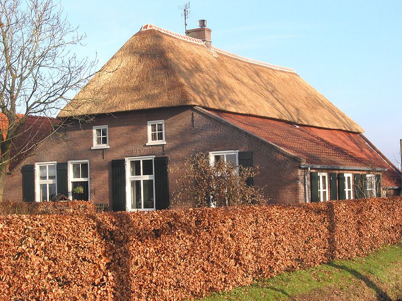 File:Rieten dak old farmhouse.jpg